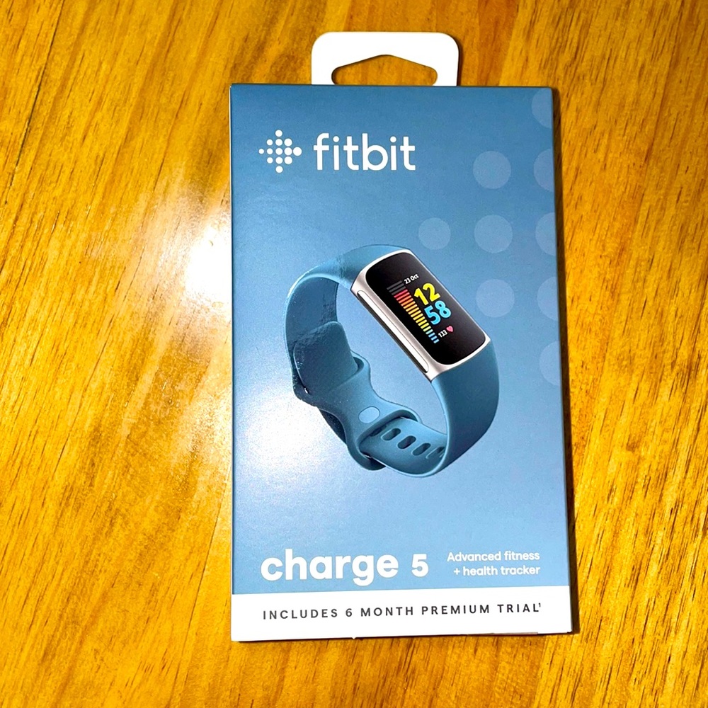 Fitbit Charge 5 Platinum Stainless Steel Case and Steel Blue Band